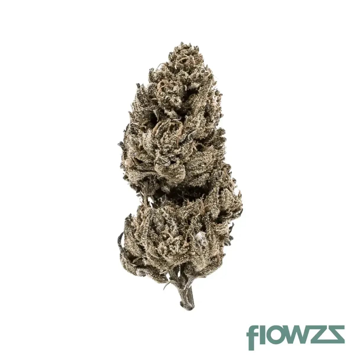 good-supply-cannabisblueten-thc28-mrg-meringue-64