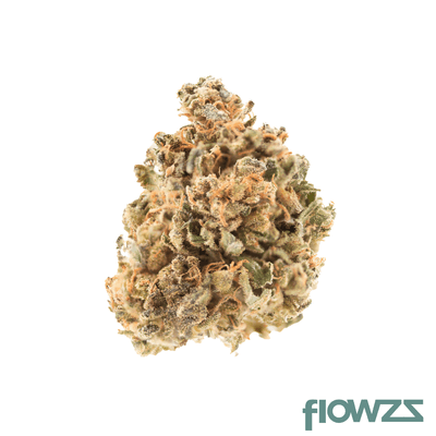 alephsana-water-5-13-amnesia-balanced-dnf