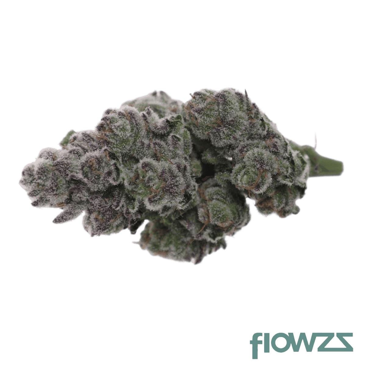 Blütenbild alephsana-aleph-citrin - flowzz.com