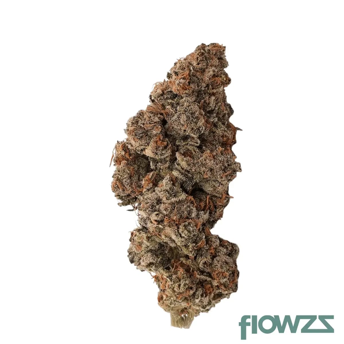 aleph-fire-26-1-amnesia-skittlez