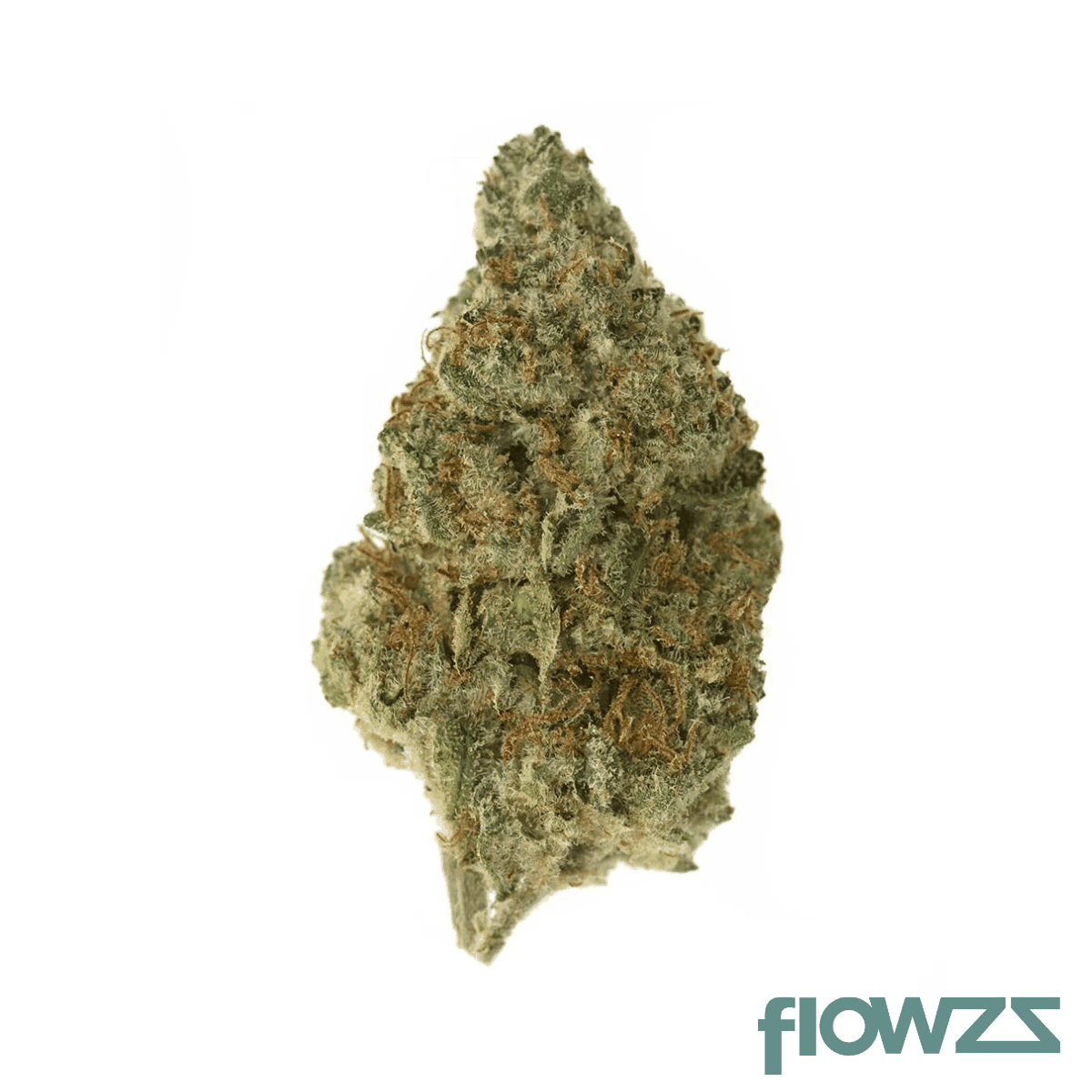 remexian-27-1-fco-frosted-cookies