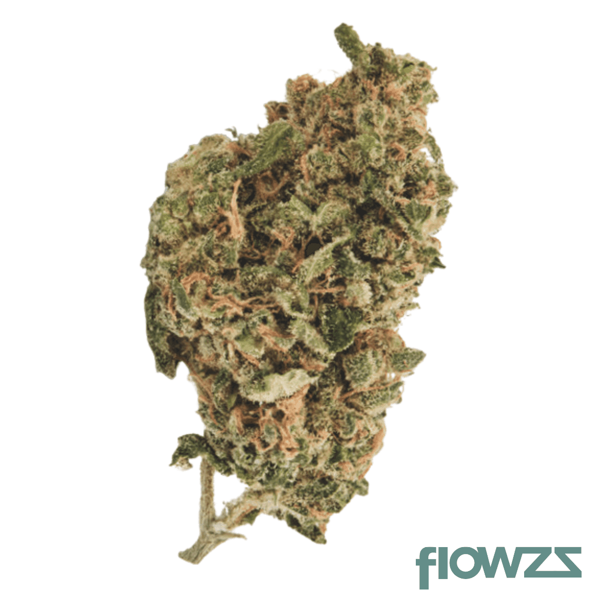 420-sungrown-25-1-ca-zrp-zour-apple