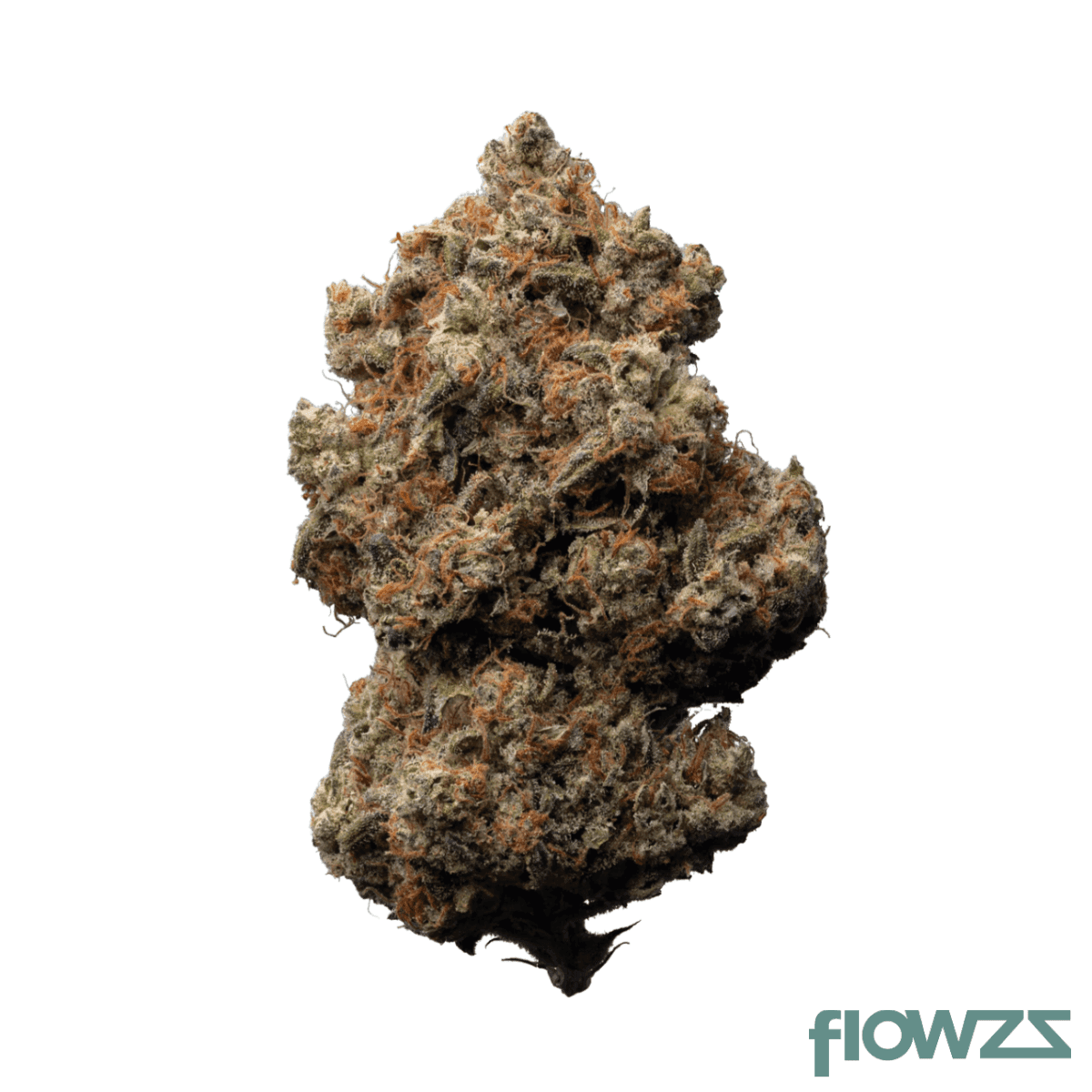 enua 30/1 ZKM CA Zkittlez Kushmints