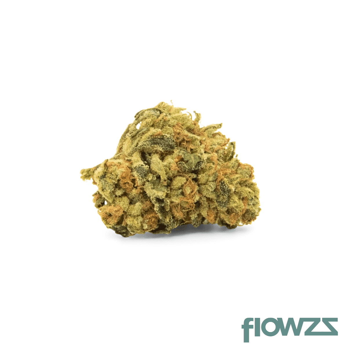 nice-17-1-dd-do-si-dos