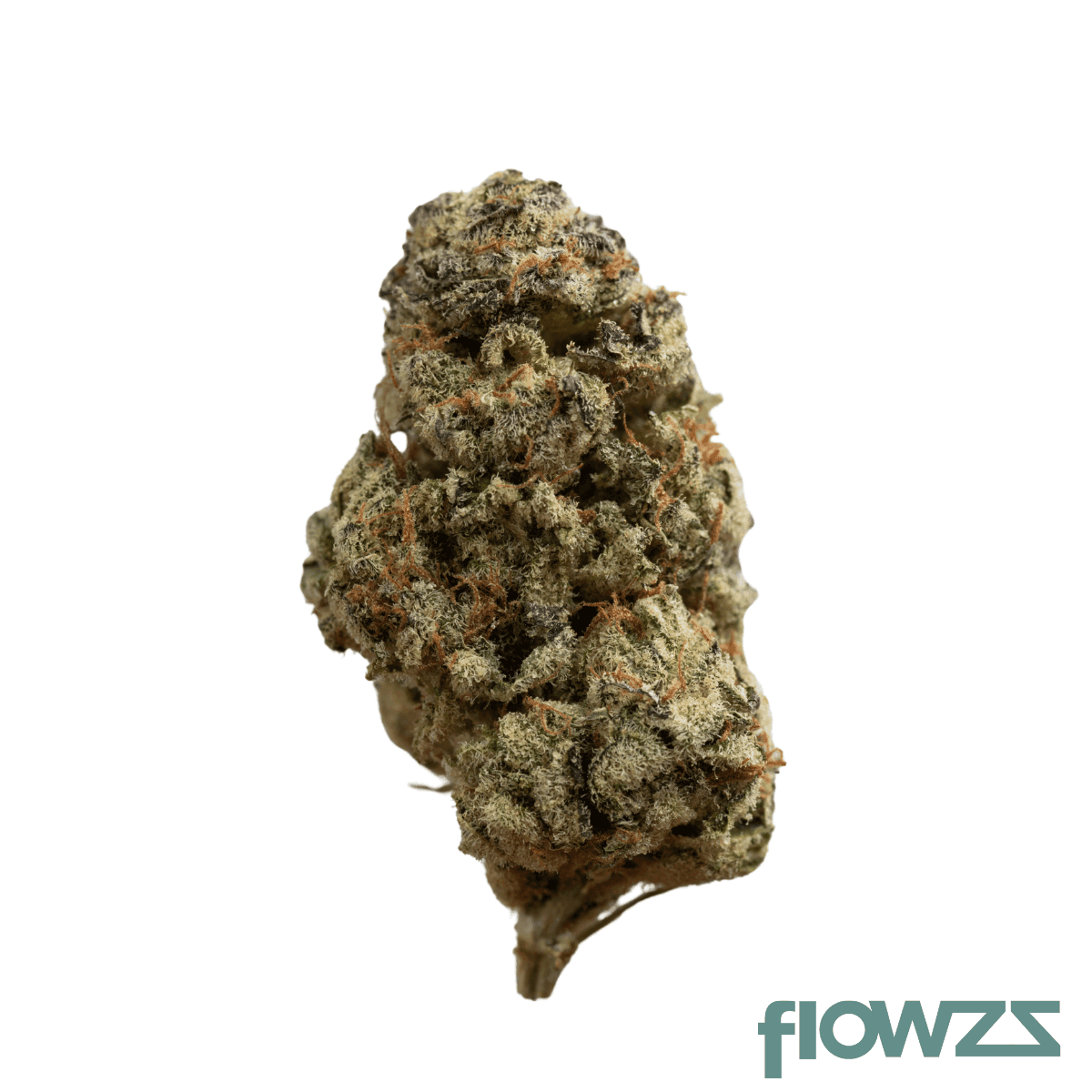 aleph-sana-silver-23-1-purple-mac