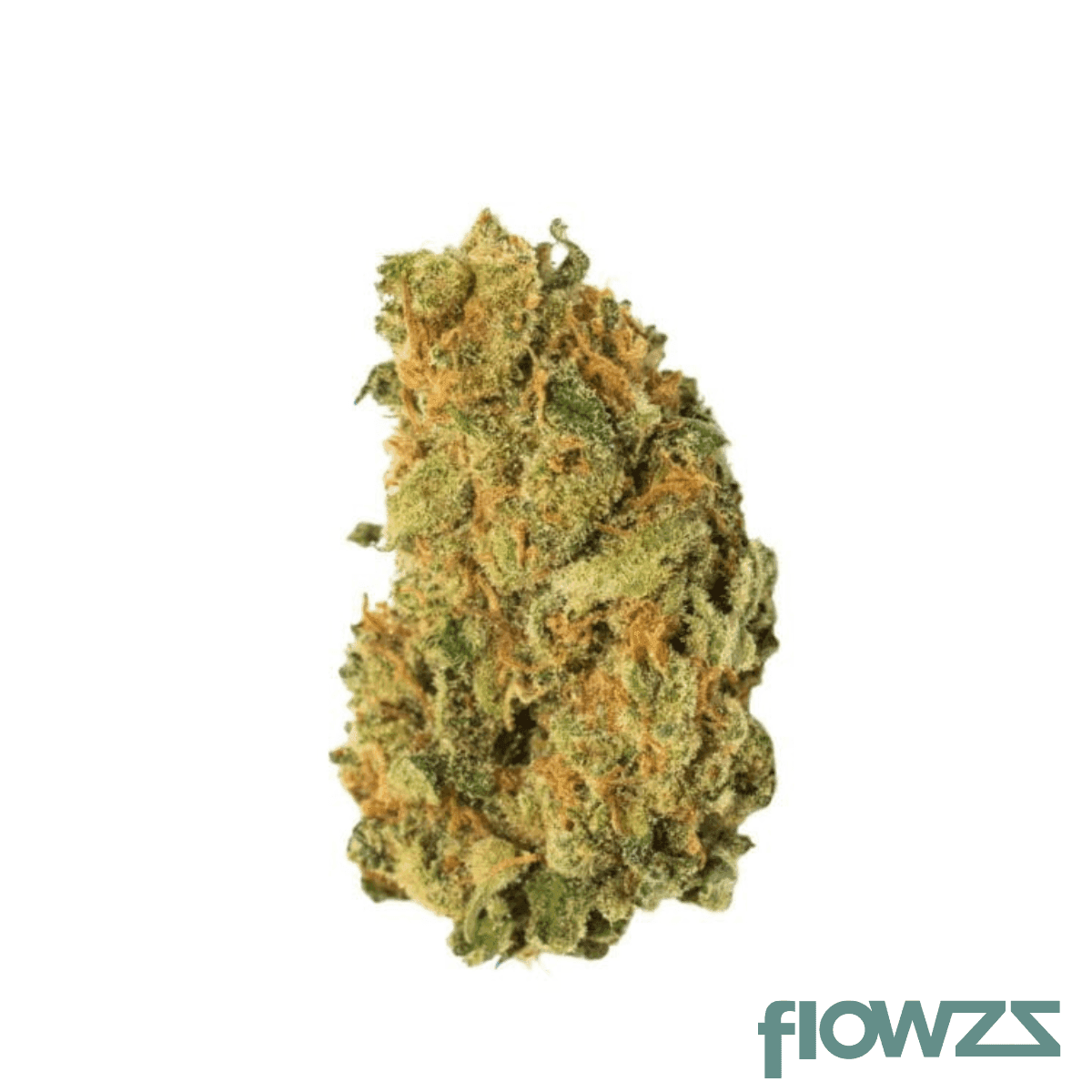 cannamedical-sativa-forte-nm-amsterdam-amnesia