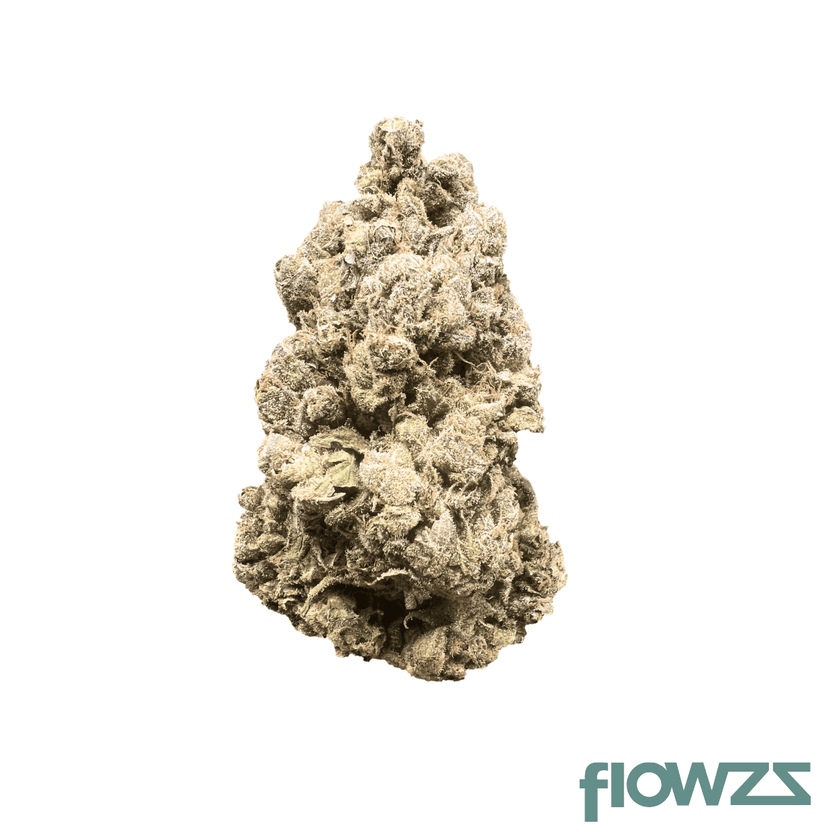 remexian-27-1-ffg-francos-fullgas