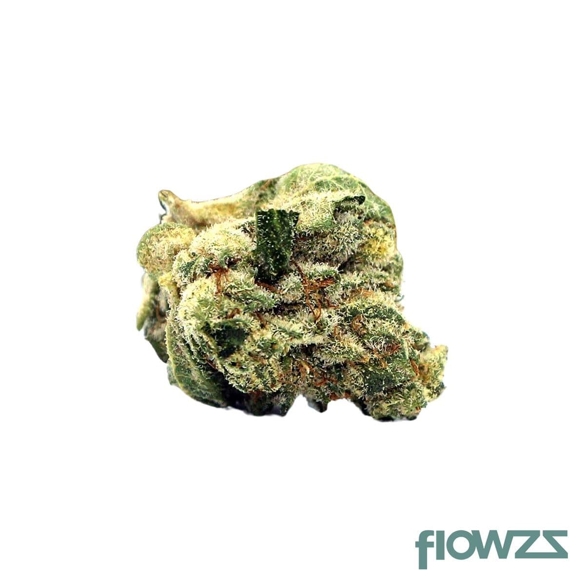 bavamed-21-1-leg-la-lly-legendary-larry