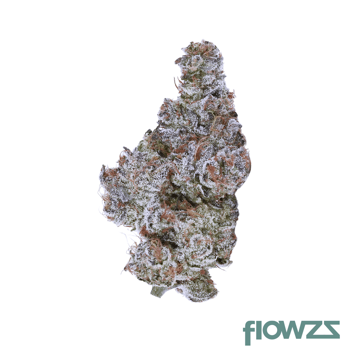 imc-ncc-thc21-21-1-cookies-and-cream