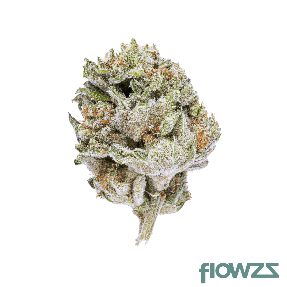 canify-cannabis-flos-24-1-ls-ku-khanya-select