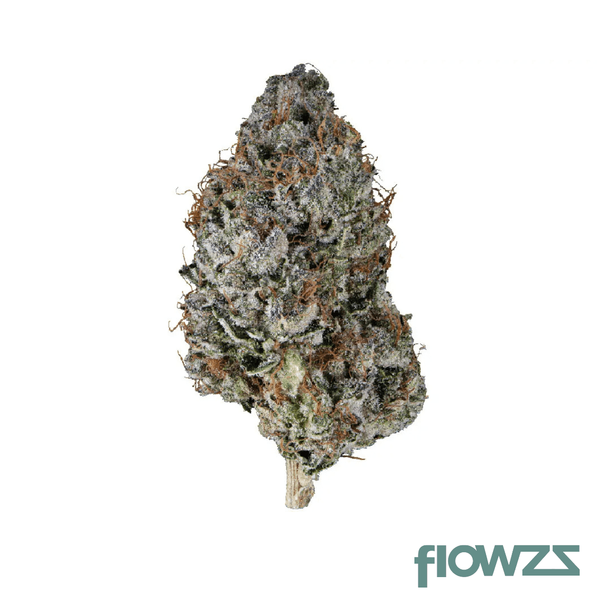 tilray-craft-thc25-bcr-beach-crasher