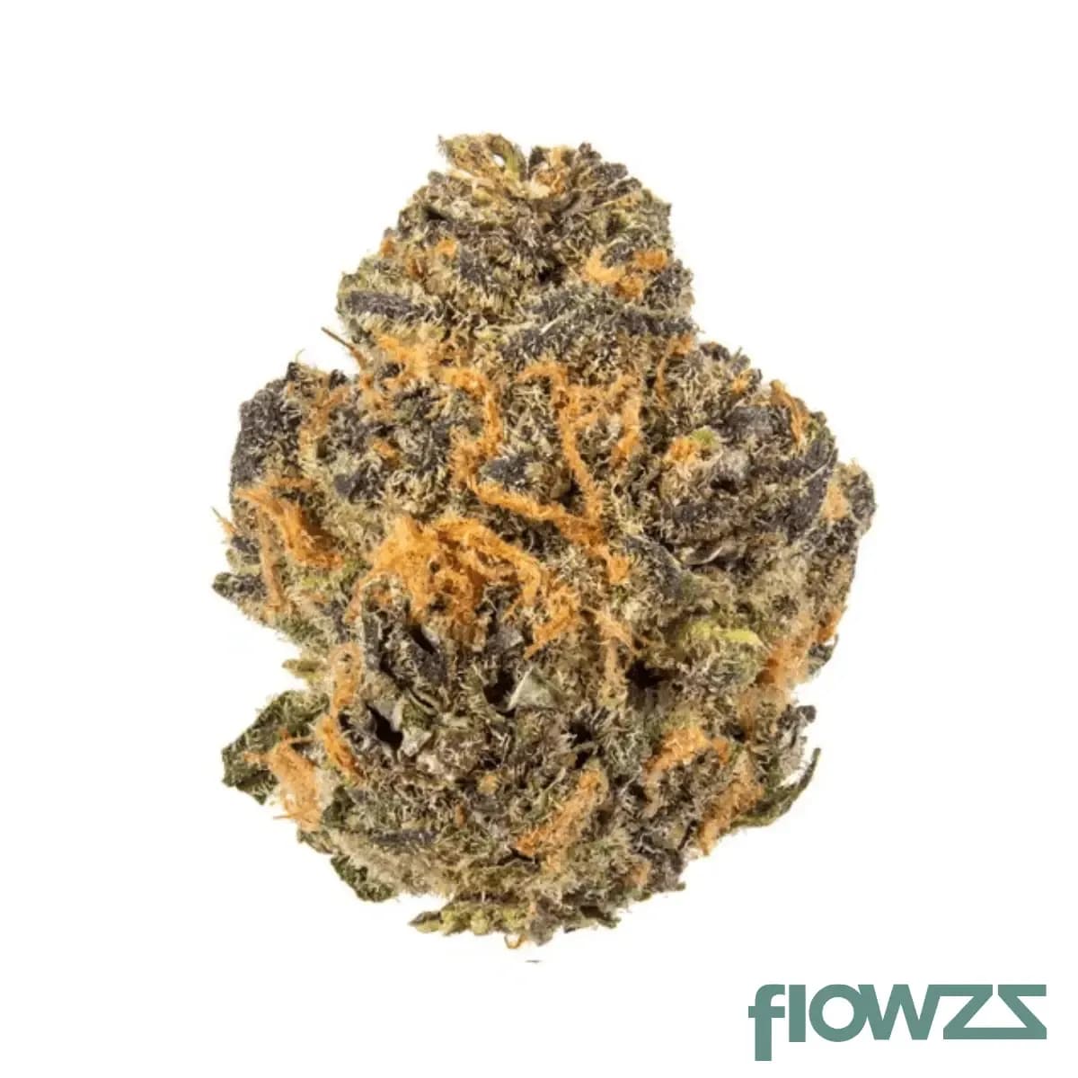 huala-22-1-ca-grf-grape-face