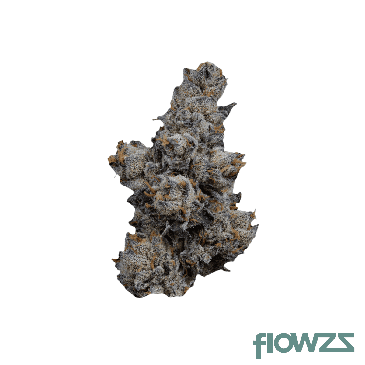 mgf-pop-up-no-5-22-1-rose-gold-runtz