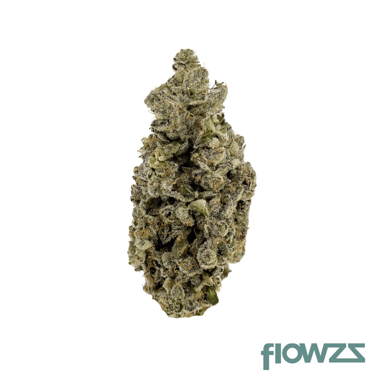 beacon-go-t23-galactica-og