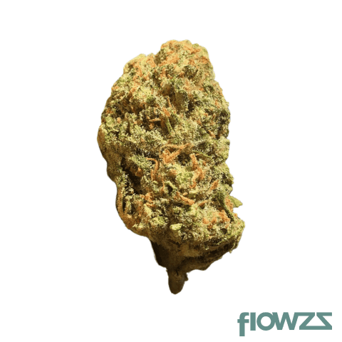 cannabistada-22-1-wap-wappa