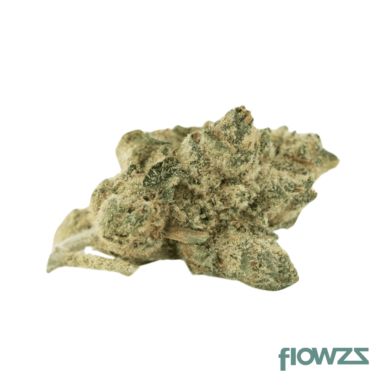 Barongo 26/1 BT Black Triangle