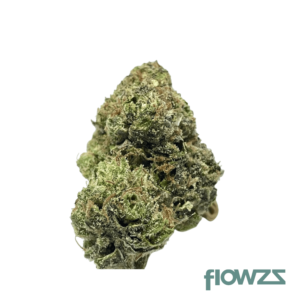 greyscale-hf-31-1-hawaiian-faanta