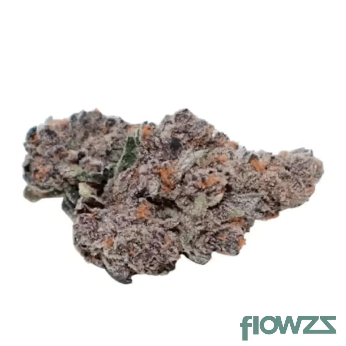 buuo-24-1-dc-smalls-rainbow-lava