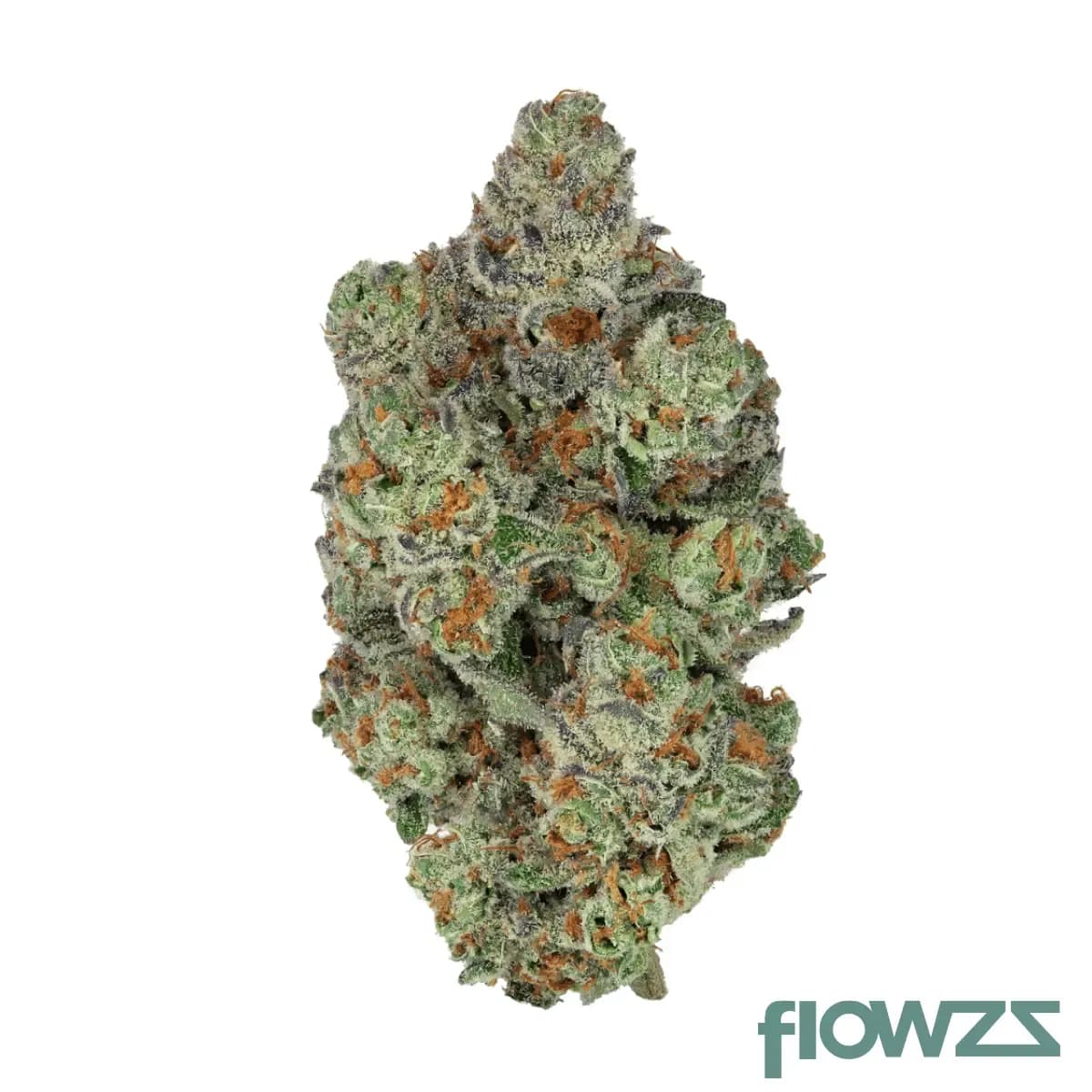 craft-botanics-30-1-mimosa