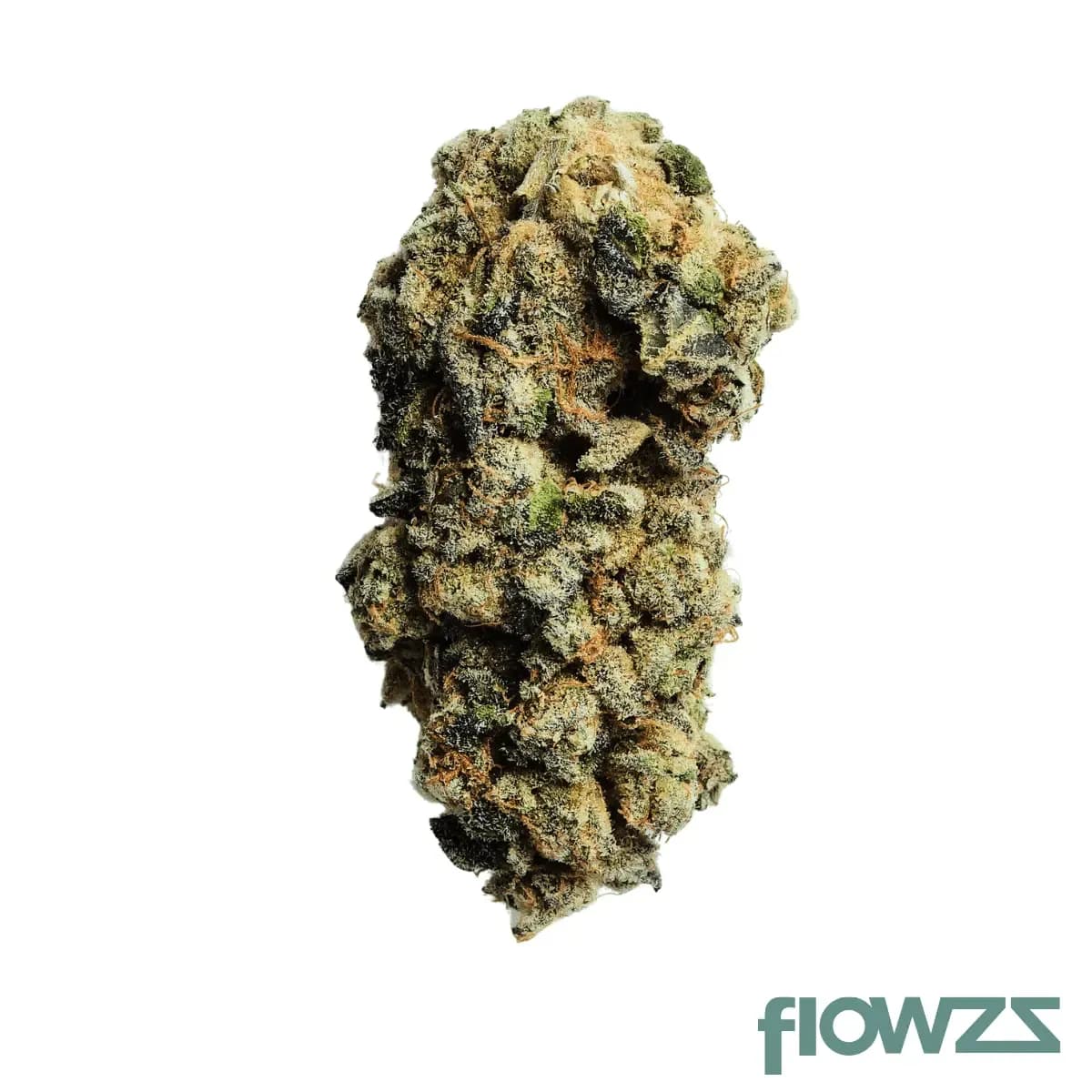 demecan-regular-drop-animal-face-cookies