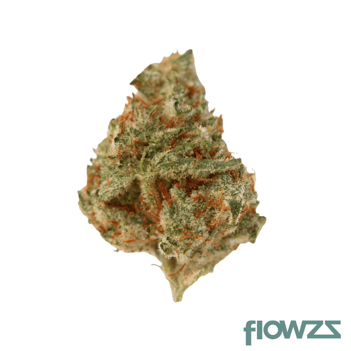 top-shelf-medical-s1e2-301-oasis-og