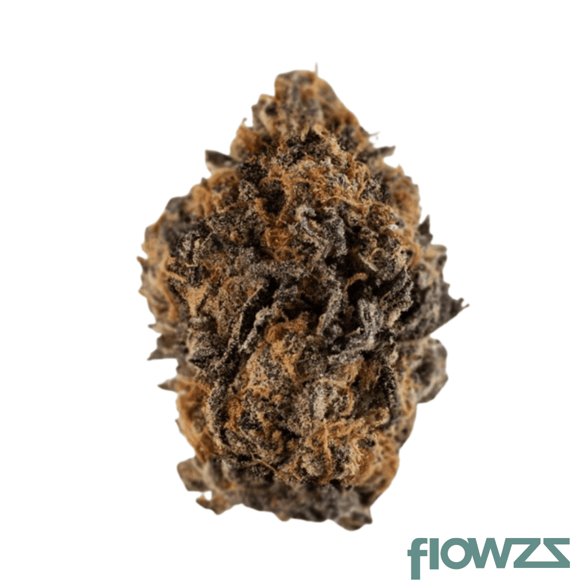 nice-19-1-fzk-forbidden-zkittlez