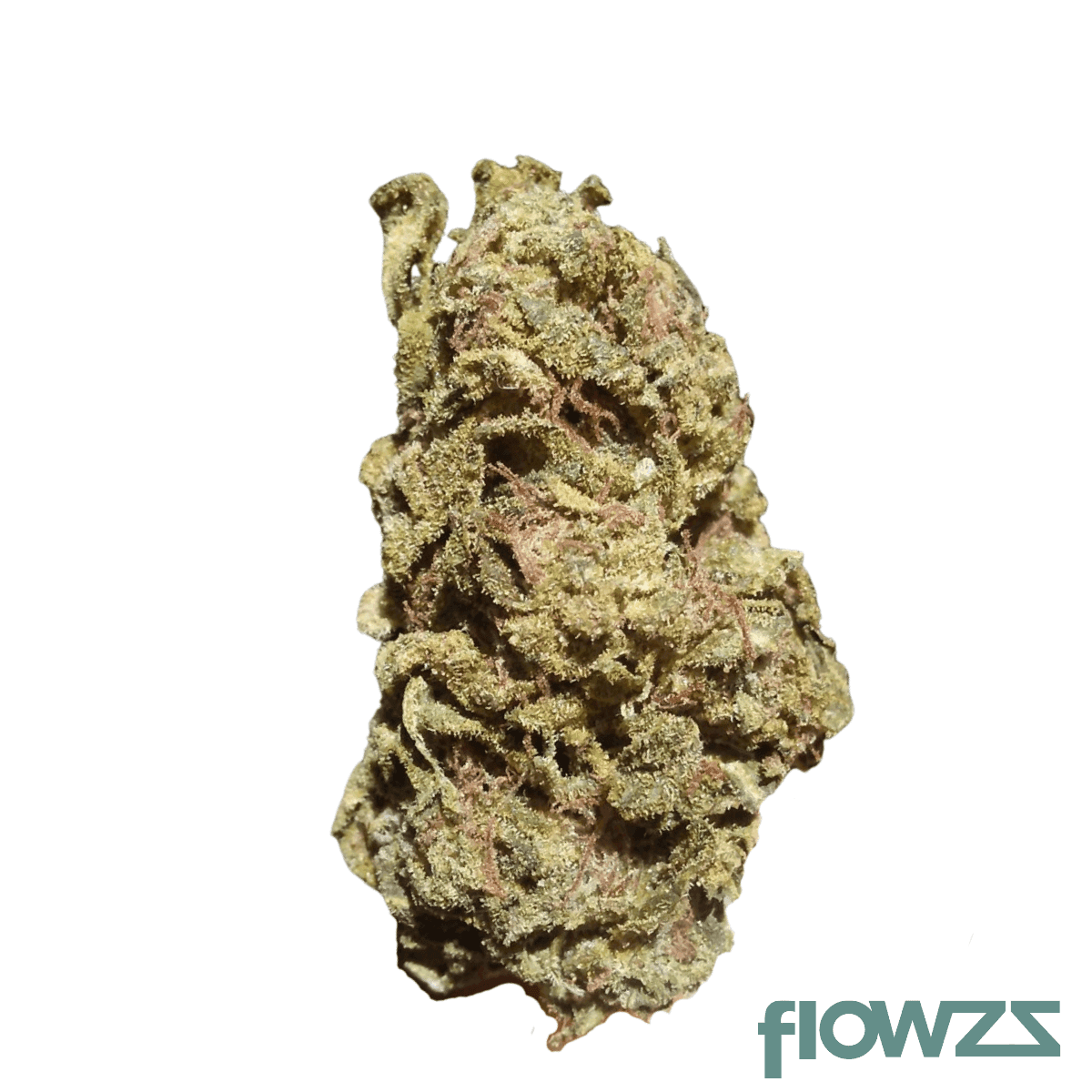 good-supply-cannabisblueten-thc-22-snl-snow-leopard