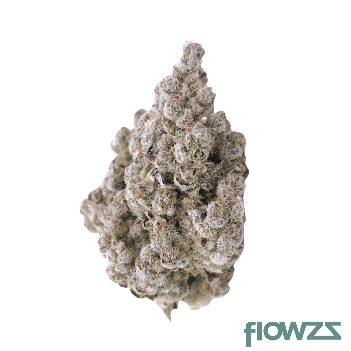 bavamed-21-1-platinum-dosi-dos