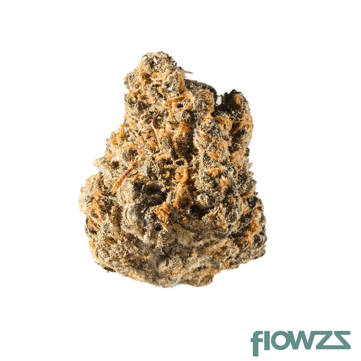 avaay-7-11-gco-green-croc-orange