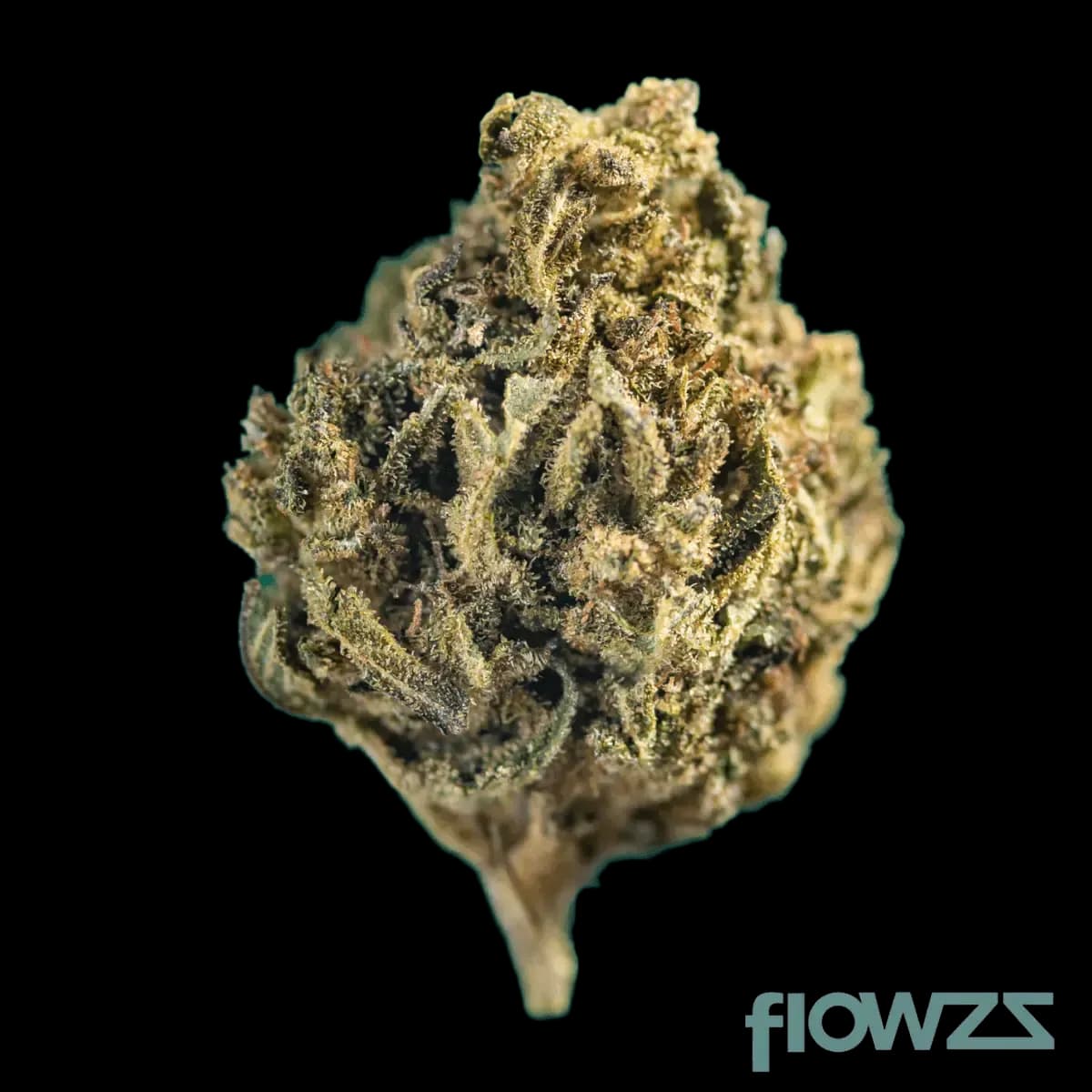 canify-cannabi-flos-10-14-midnight