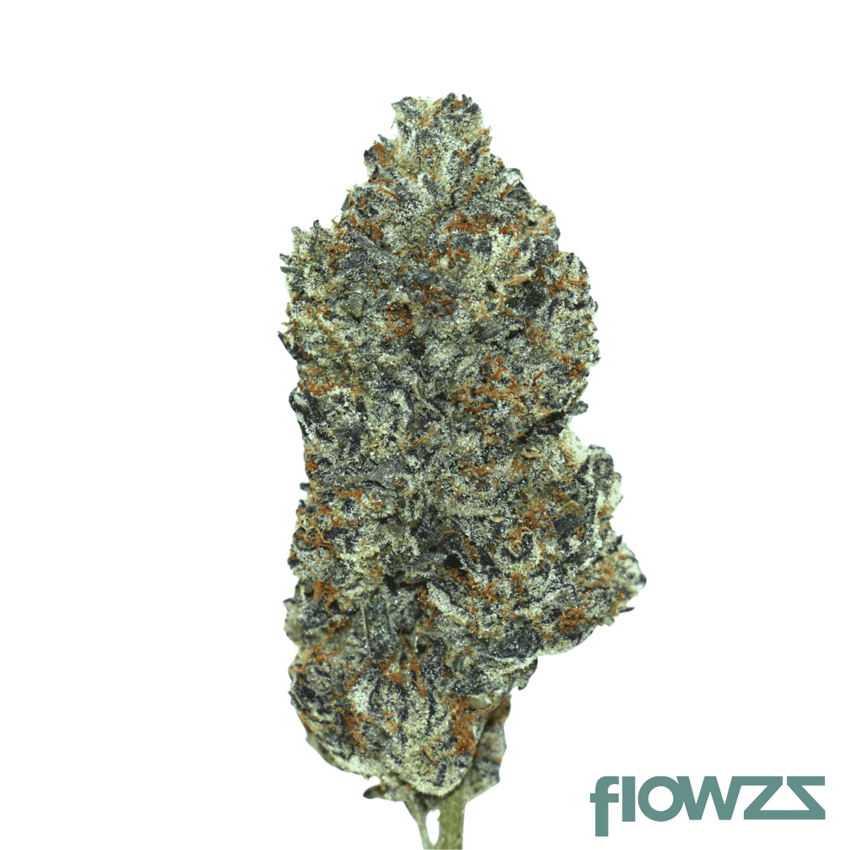 remexian-30-1-hcc-blue-pave