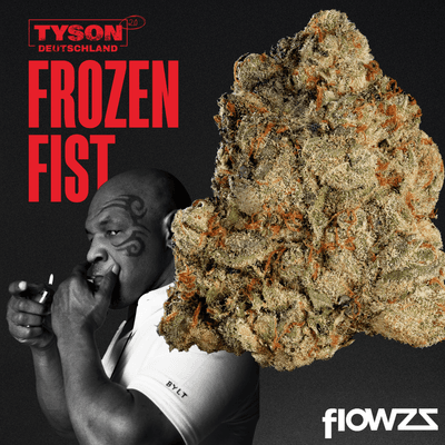 tyson-24-1-frozen-fist