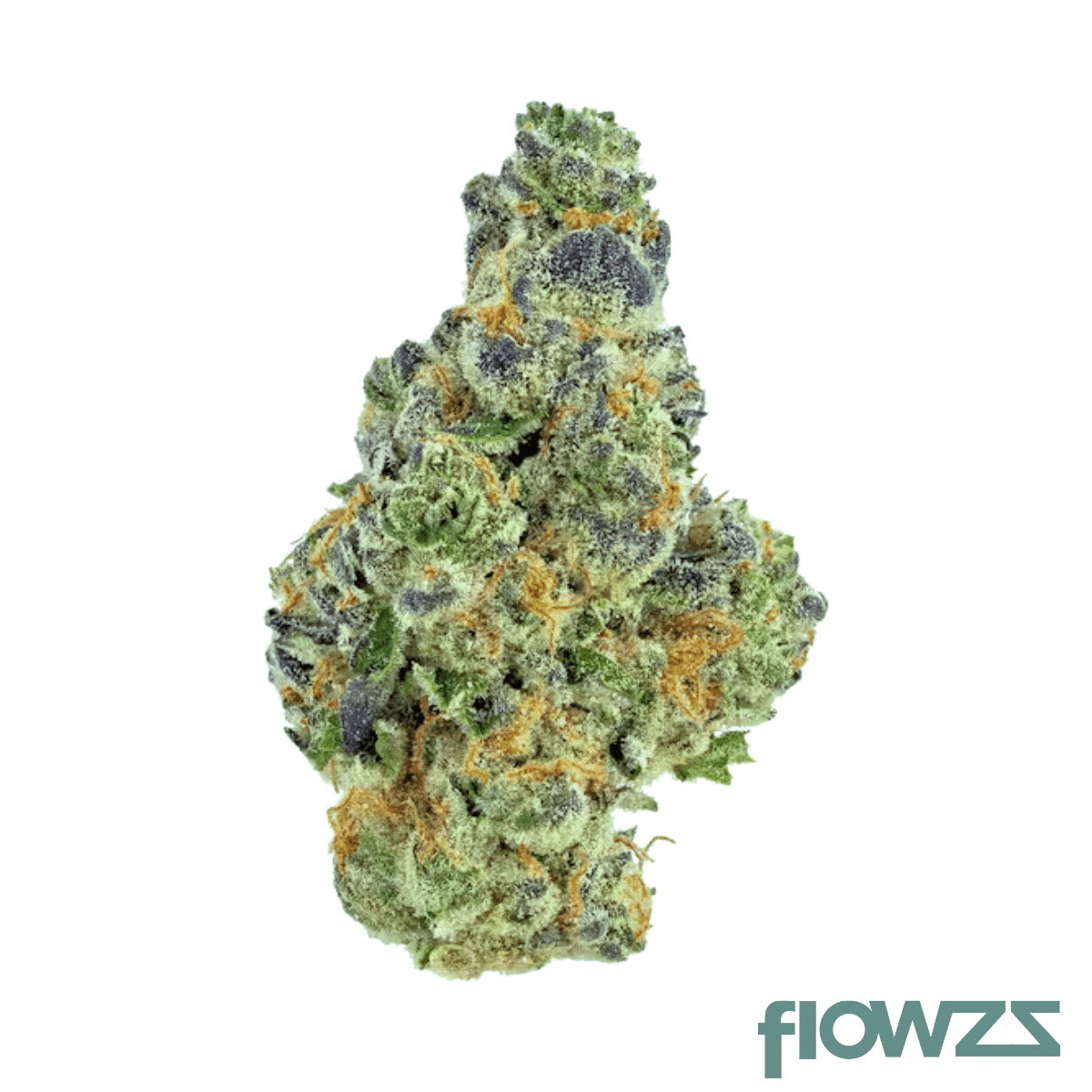 remexian-27-1-tfr-grc-grape-crusher