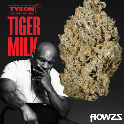 Tiger Milk