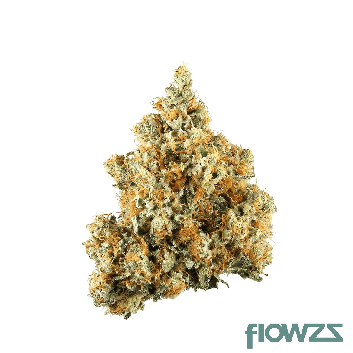imc-fmo-thc27-nyc-diesel