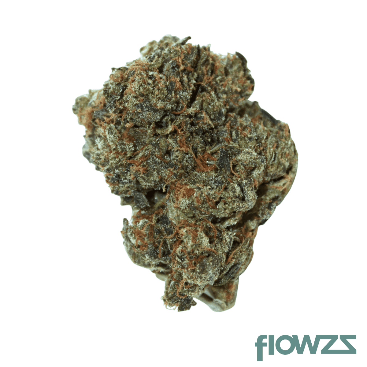 remexian-301--nl-cga-creamy-gas