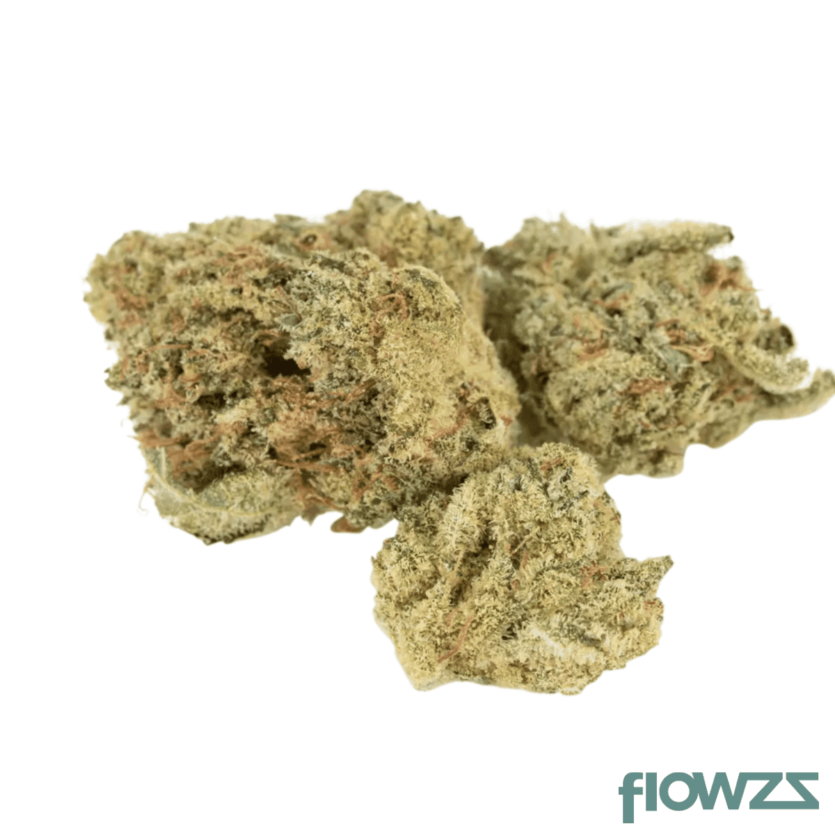 Barongo 26/1 BM Tropic Boom