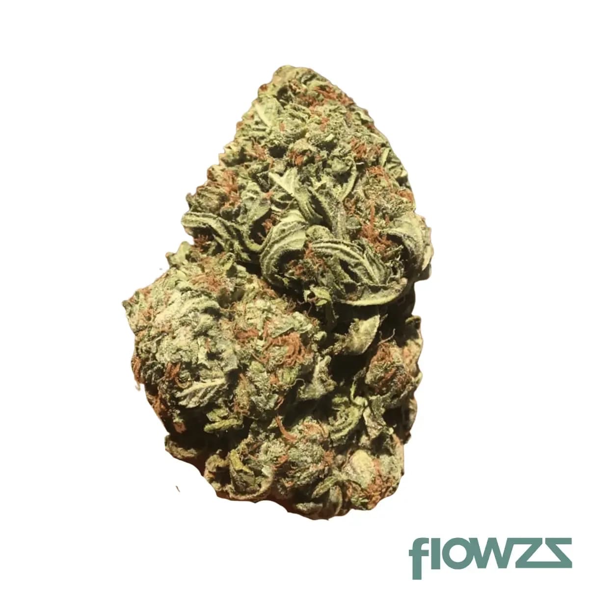 cannamedical-hybrid-forte-ury-white-gorilla