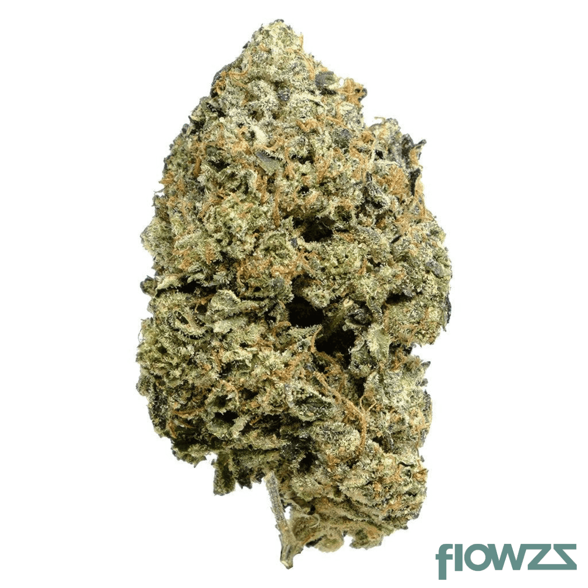 avaay-signature-31-1-gog