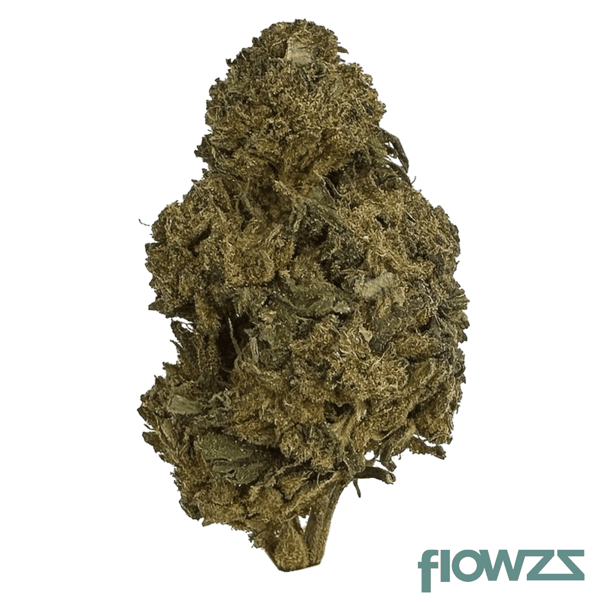 beacon-bt-t18-black-triangle