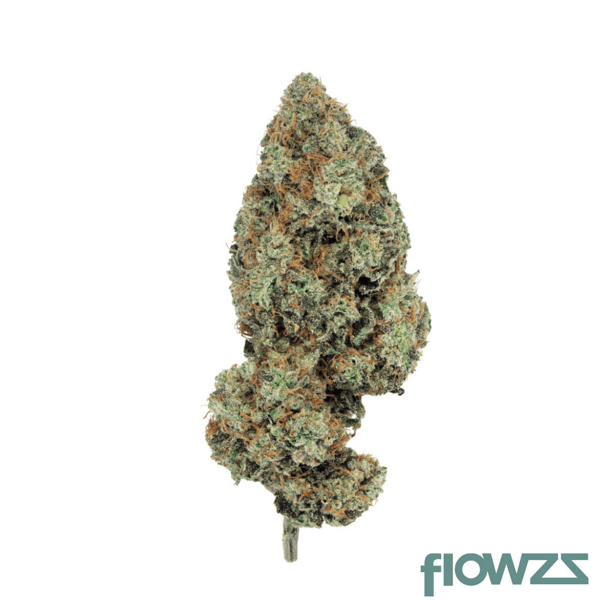 remexian-30-1-pgf-bcl-booty-clapper