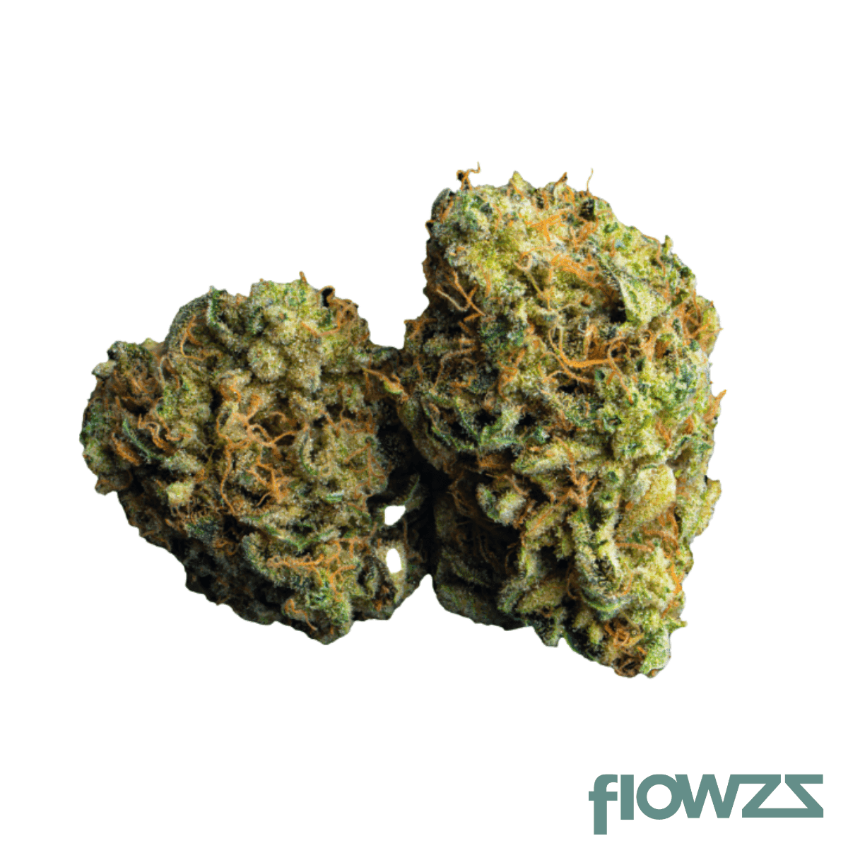 nice-26-1-lc-lemon-cookies