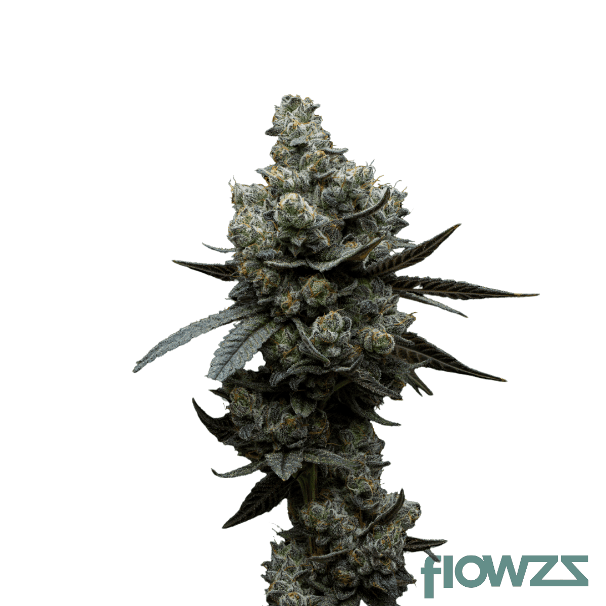 monkey-butter-cannabis-strain