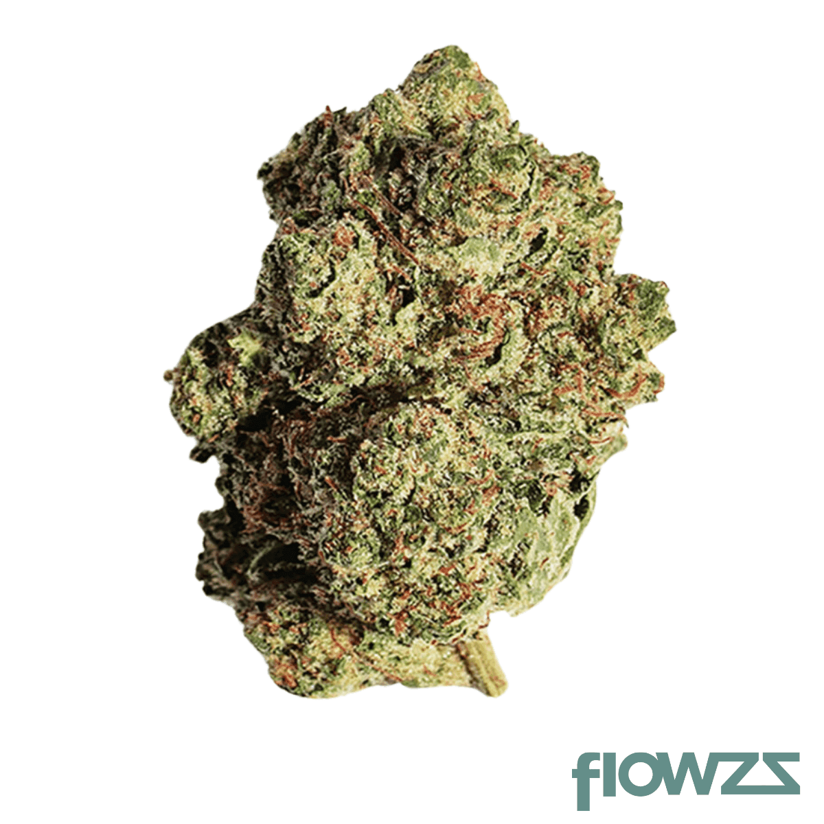 Beacon-T24-Pink_Kush