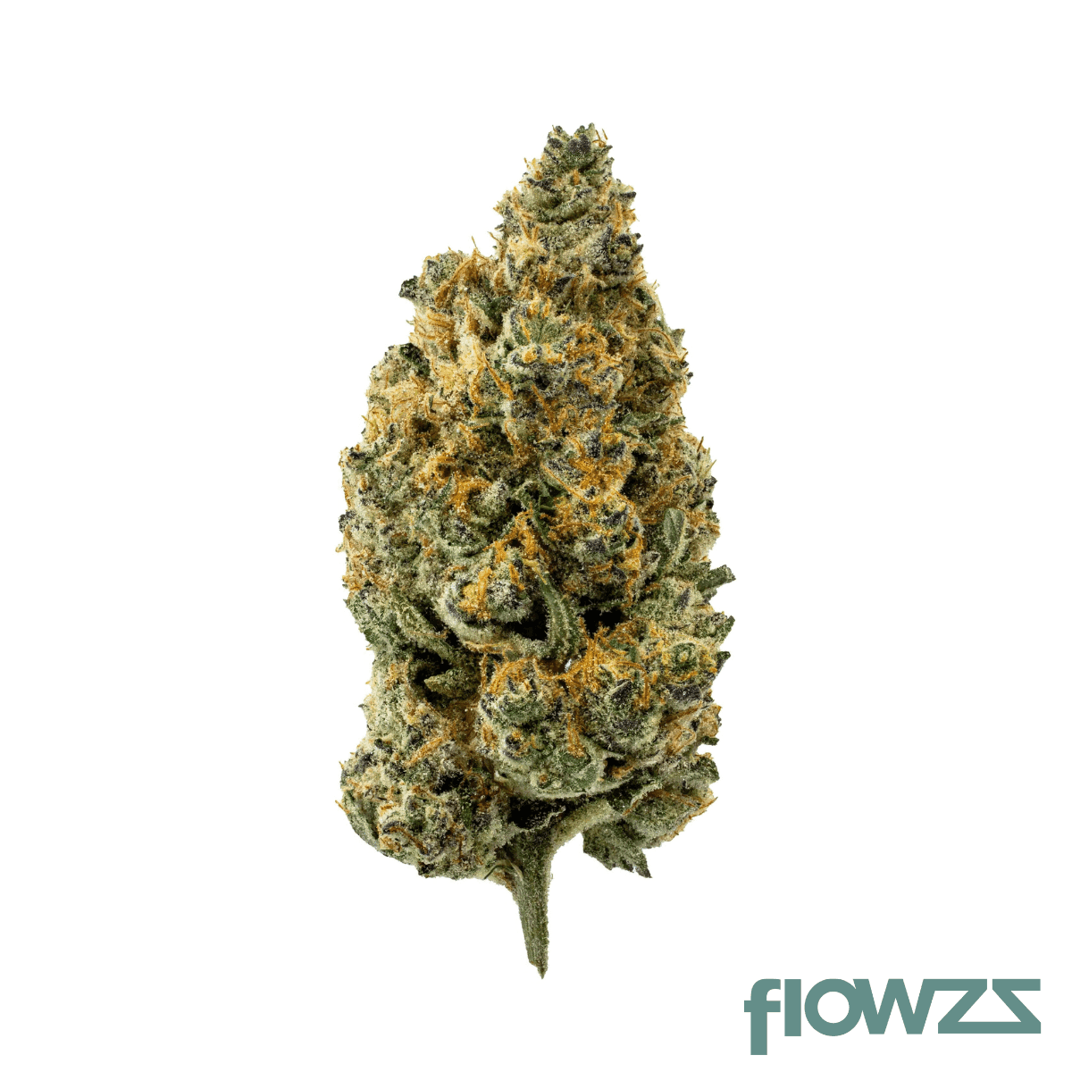 remexian-27-1-ota-zad-zandas-dream