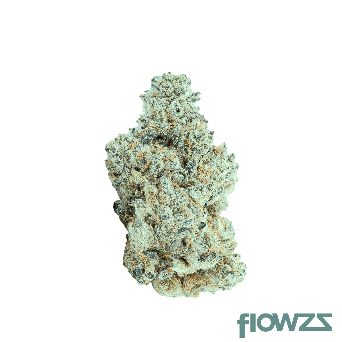 wicked-frosted-mintz