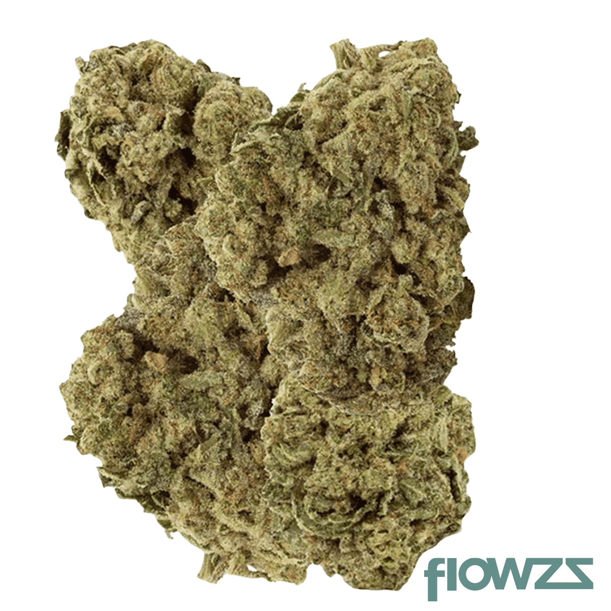 enua-30-1-tta-ca-titanimal