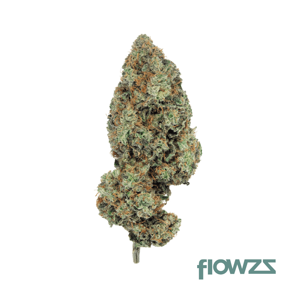 cnbs-byc-30-1-booty-clapper