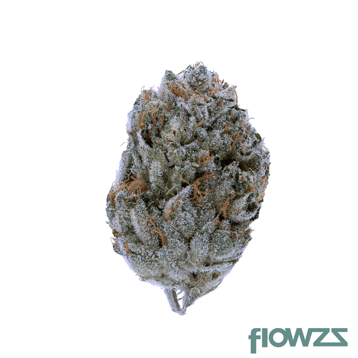 eufloria-27-1-btr-black-triangle