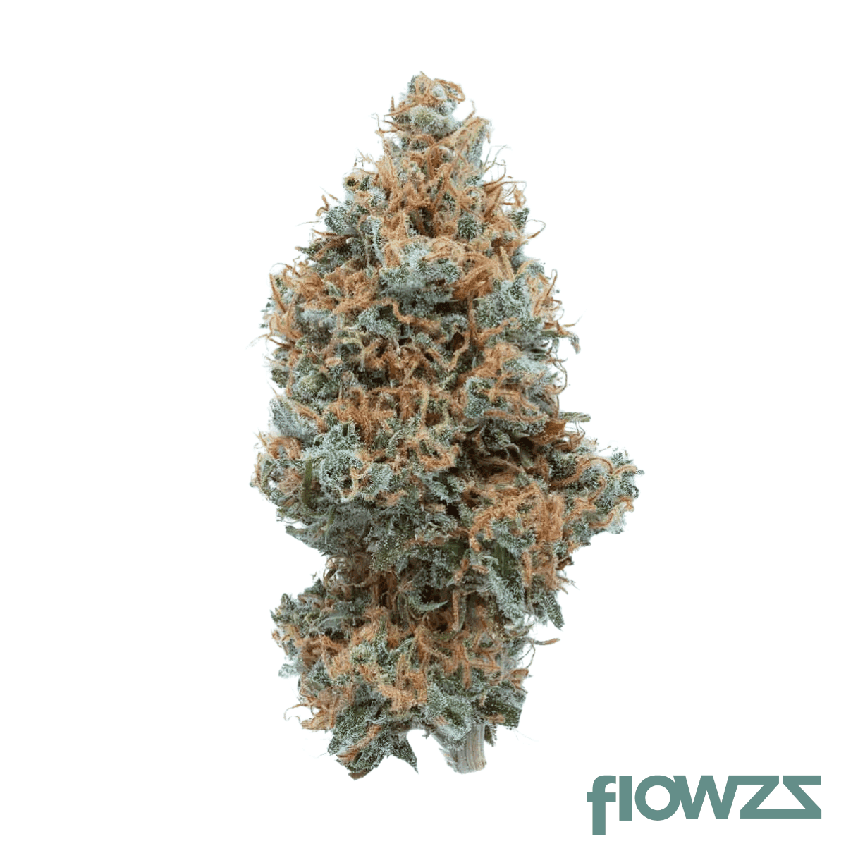 remexian-27-1-trs-tropical-sour